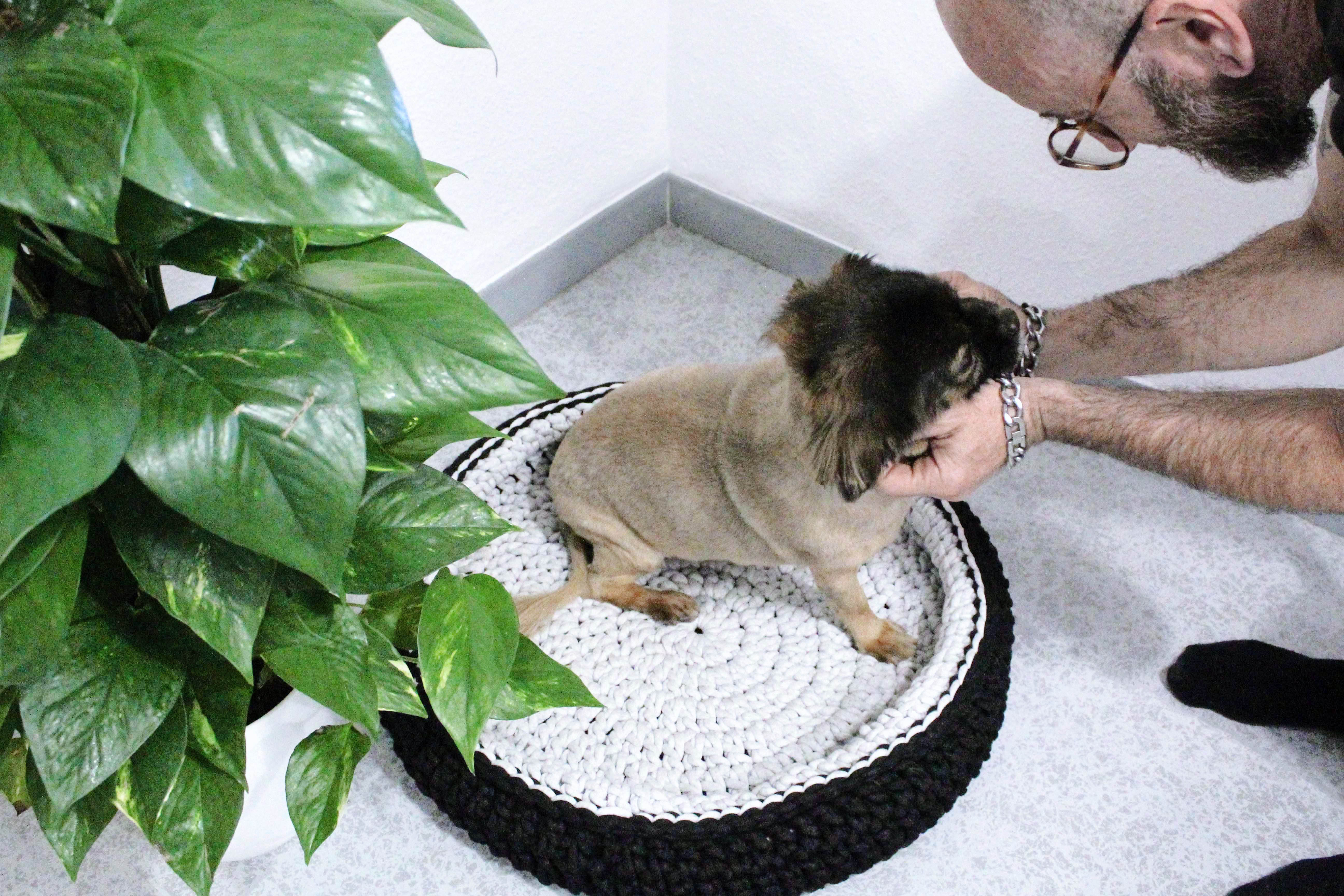 My Rati, cama para mascotas