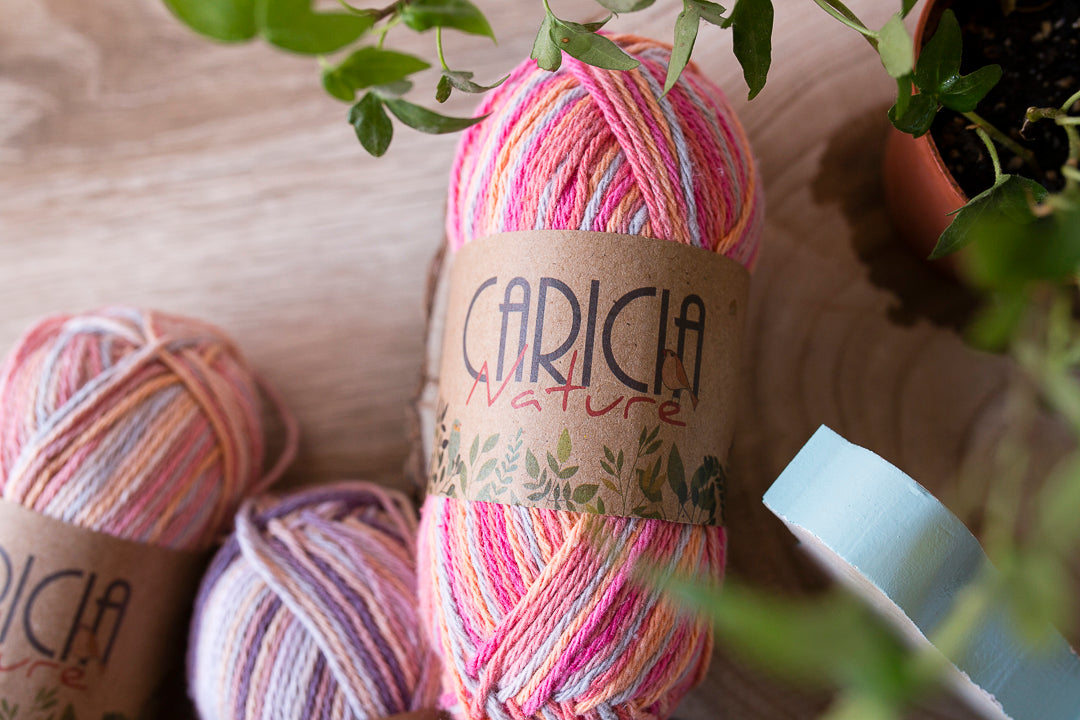 Hazte con toda la gama de Caricia Nature