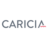 Equipo Lanas Caricia